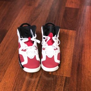 Air Jordan Carmine 6's